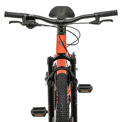 Превью Детский велосипед Велосипед WELT Brave 1.0 24 MD Dreamy Fox (2025)